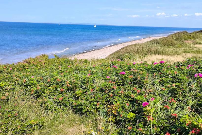 Foto von Ferienhaus EQ07 in Smidstrup - Gilleleje - Nordseeland