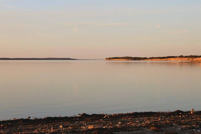 Foto von Ferienhaus EQ47 in Vadum - Thy/Limfjord