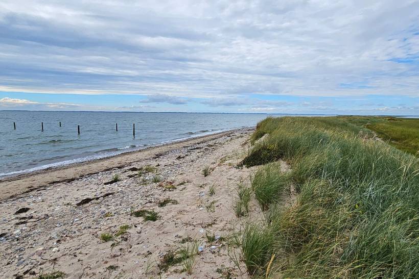 Foto von Ferienhaus EQ98 auf Langø - Lolland