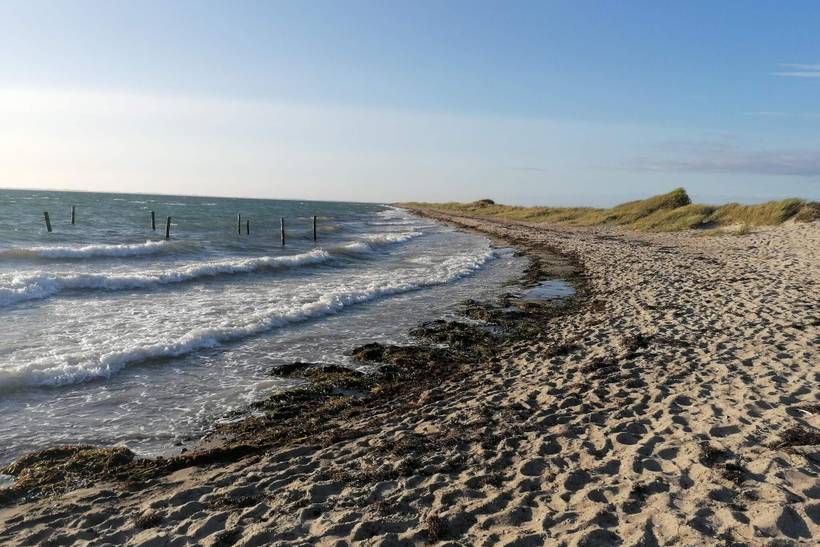 Foto von Ferienhaus EQ98 auf Langø - Lolland