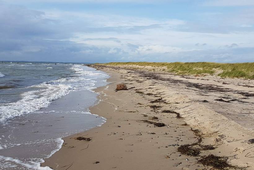 Foto von Ferienhaus EQ98 auf Langø - Lolland