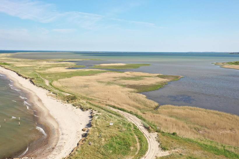 Foto von Ferienhaus EQ98 auf Langø - Lolland