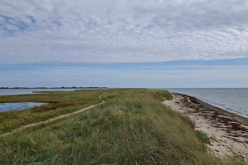 Foto von Ferienhaus EQ98 auf Langø - Lolland