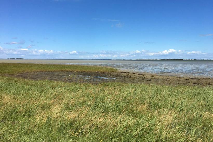 Foto von Ferienhaus EQ98 auf Langø - Lolland