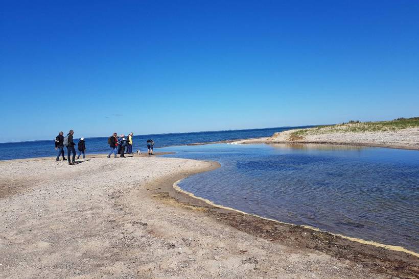 Foto von Ferienhaus EQ98 auf Langø - Lolland