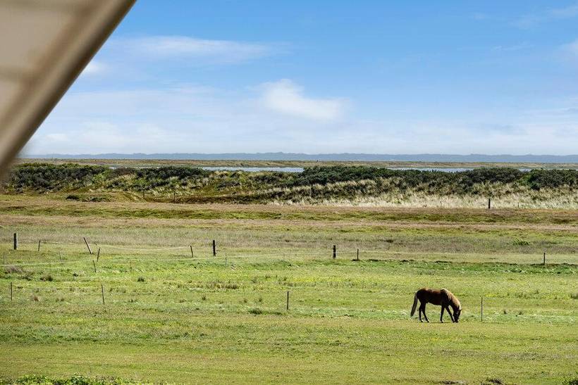 Foto von Ferienhaus ER67 in Agger - Thy/Limfjord