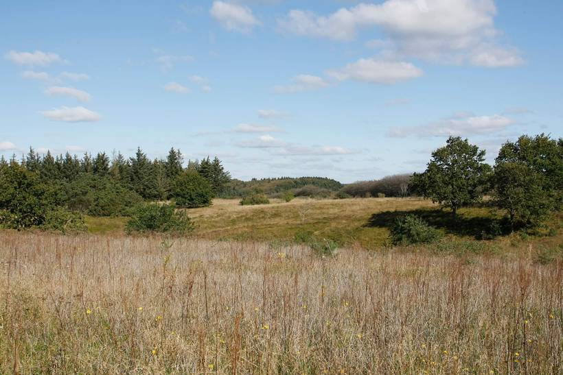Foto von Ferienhaus ER86 in Lynderup - Thy/Limfjord