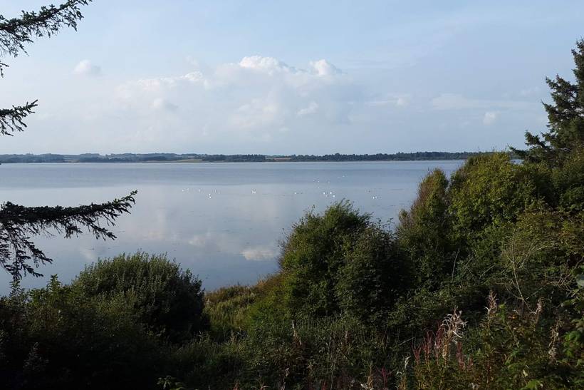 Foto von Ferienhaus ER86 in Lynderup - Thy/Limfjord