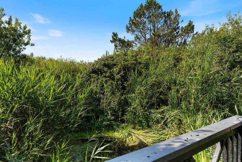 Foto von Ferienhaus ES16 in Bjerregård - Westjütland