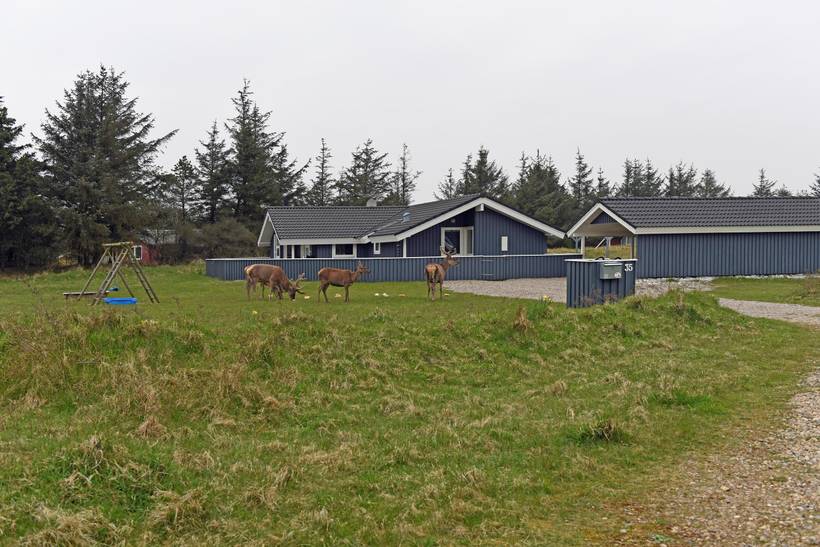 Foto von Ferienhaus ES67 in Vejers Strand - Westjütland