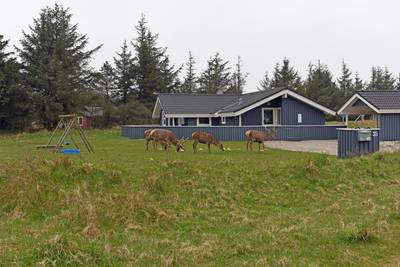 Vorschaubild von Ferienhaus ES67 in Vejers Strand - Westjütland