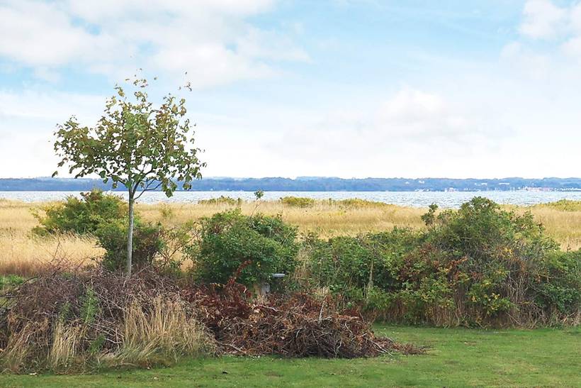 Foto von Ferienhaus ES99 in Lohals - Langeland