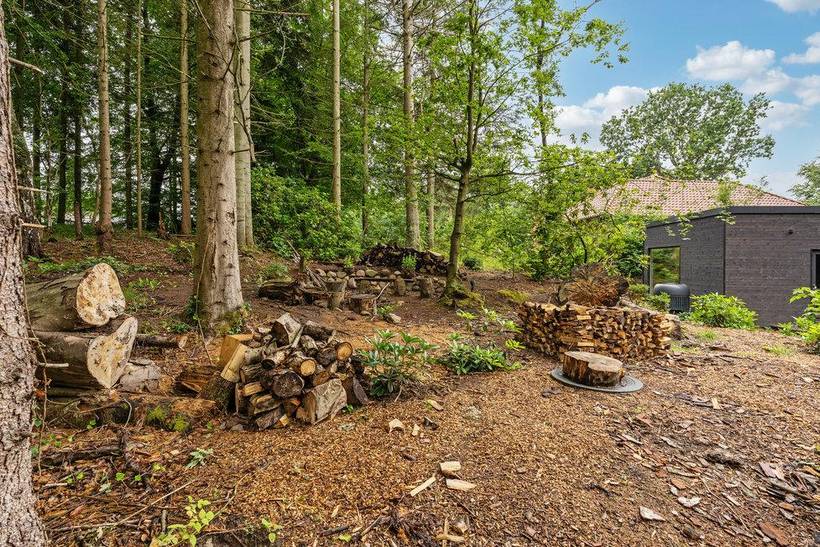 Foto von Ferienhaus ET42 in Bryrup - Ostjütland