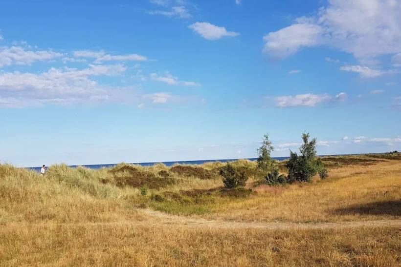 Foto von Ferienhaus ET56 in Marielyst - Falster