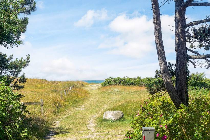 Foto von Ferienhaus EU56 in Bjerge - Westseeland