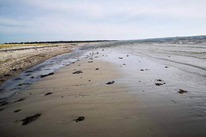 Foto von Ferienhaus EU56 in Bjerge - Westseeland