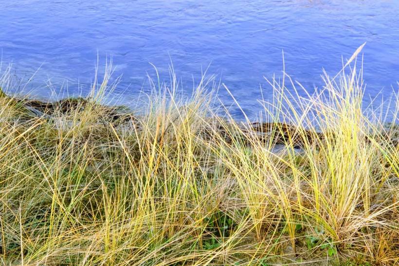 Foto von Ferienhaus EU56 in Bjerge - Westseeland