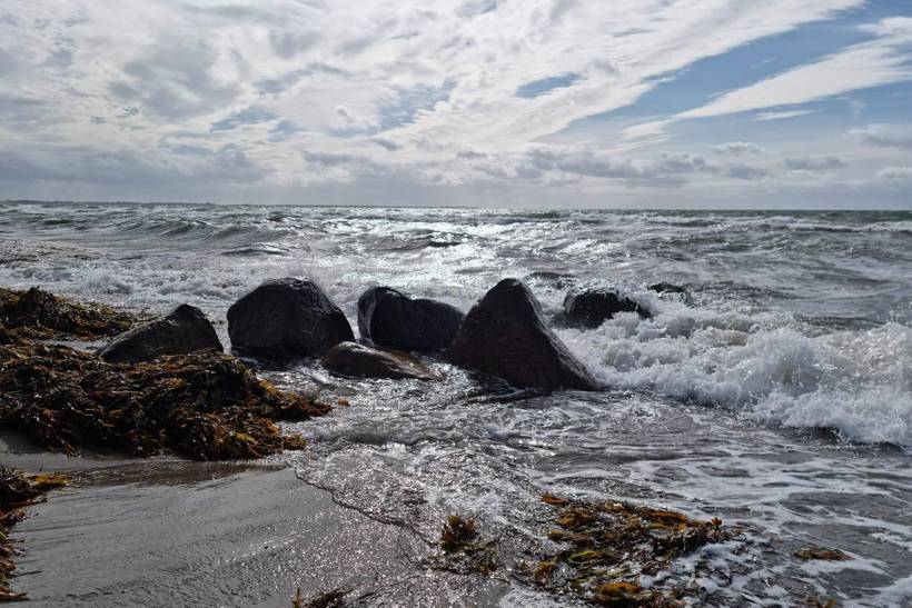 Foto von Ferienhaus EU56 in Bjerge - Westseeland