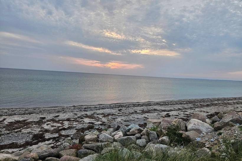 Foto von Ferienhaus EU56 in Bjerge - Westseeland