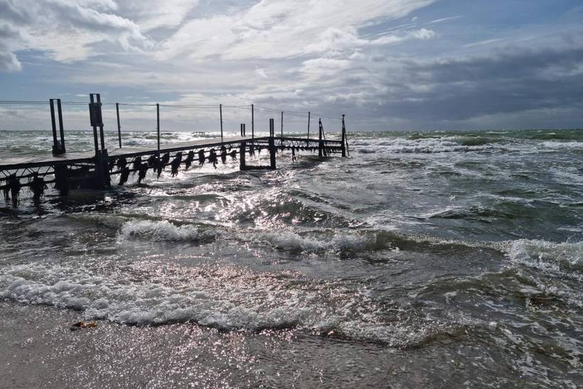 Foto von Ferienhaus EU56 in Bjerge - Westseeland