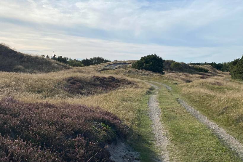 Foto von Ferienhaus EV36 in Sønderho - Fanø