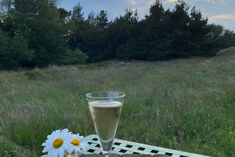 Foto von Ferienhaus EV36 in Sønderho - Fanø