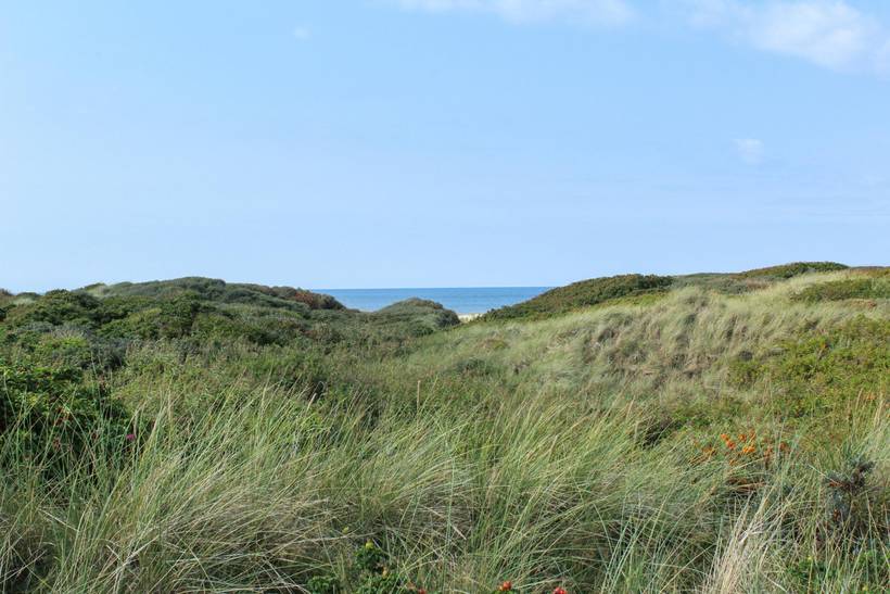 Foto von Ferienhaus EW48 in Grønhøj - Løkken - Nordjütland