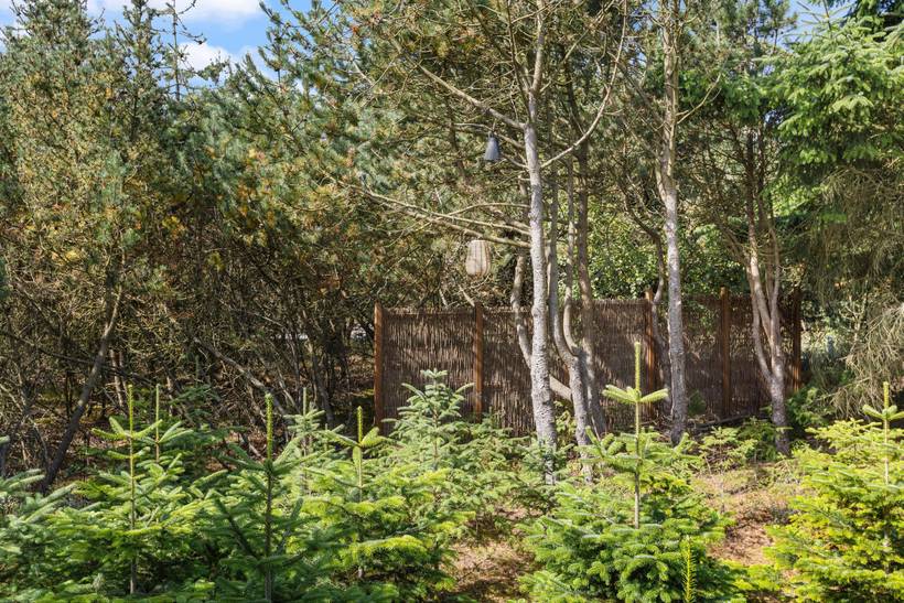 Foto von Ferienhaus EW59 in Søndervig - Westjütland