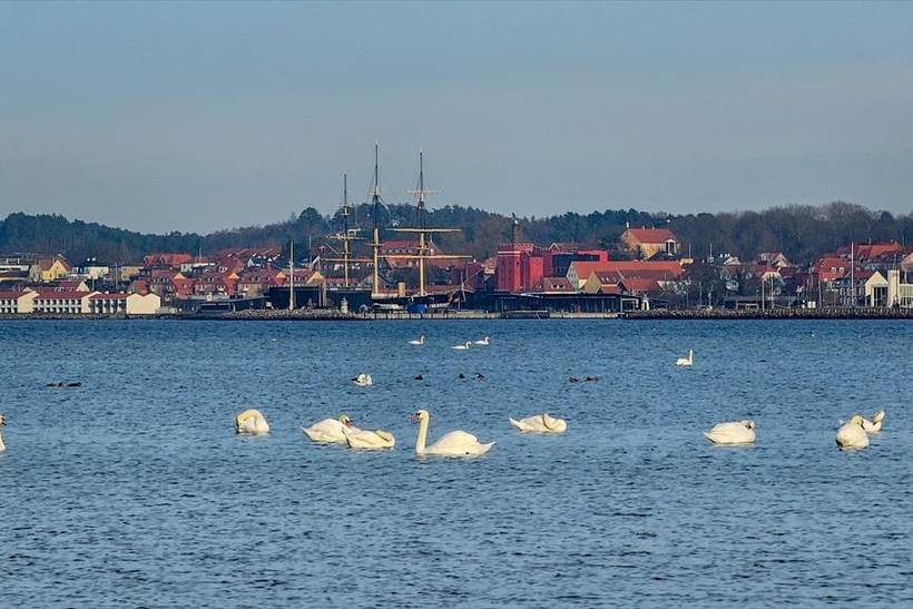 Foto von Ferienhaus EW78 in Ebeltoft - Ostjütland