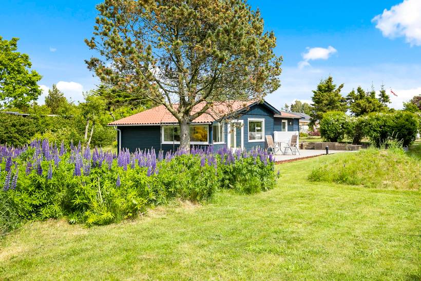 Foto von Ferienhaus EX14 in Stauning - Westjütland
