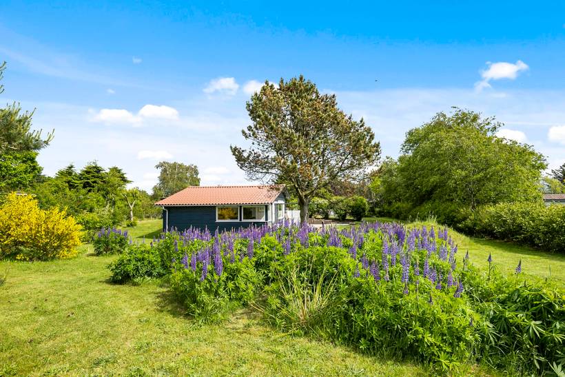 Foto von Ferienhaus EX14 in Stauning - Westjütland