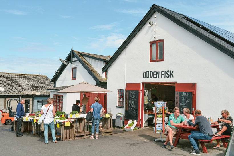 Foto von Ferienhaus EX92 in Sjællands Odde - Westseeland