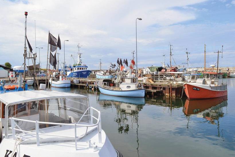 Foto von Ferienhaus EX92 in Sjællands Odde - Westseeland