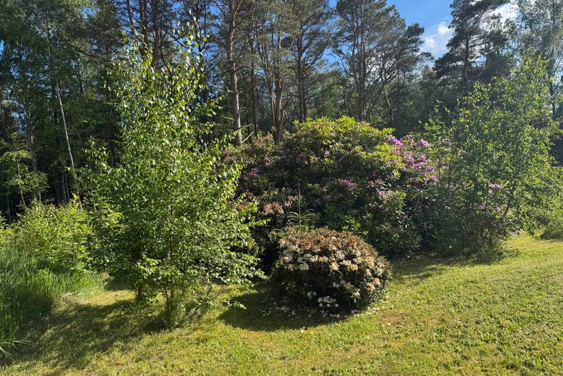 Foto von Ferienhaus EY26 in Østerby - Læsø