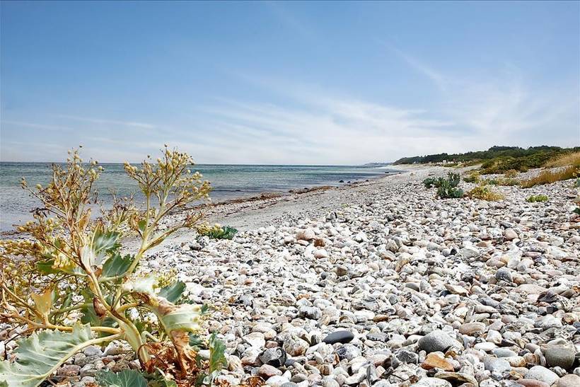 Foto von Ferienhaus EY34 in Sjællands Odde - Westseeland