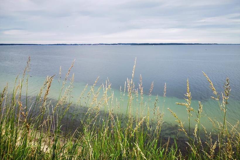 Foto von Ferienhaus EZ55 in Mols - Ostjütland