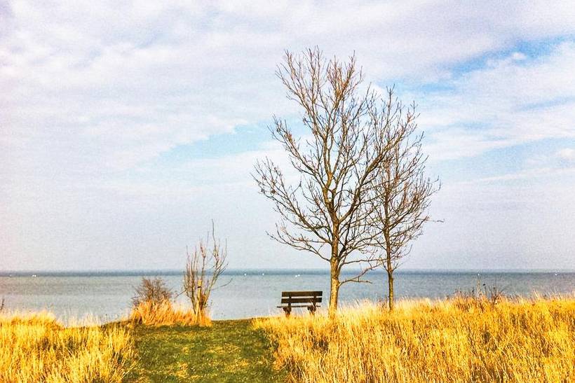 Foto von Ferienhaus FA36 auf Askø - Lolland