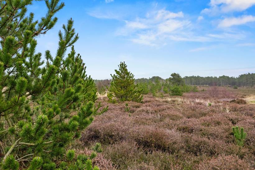 Foto von Ferienhaus FA41 in Bolilmark - Rømø