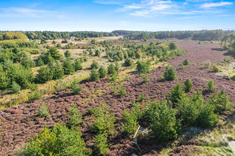 Foto von Ferienhaus FA41 in Bolilmark - Rømø