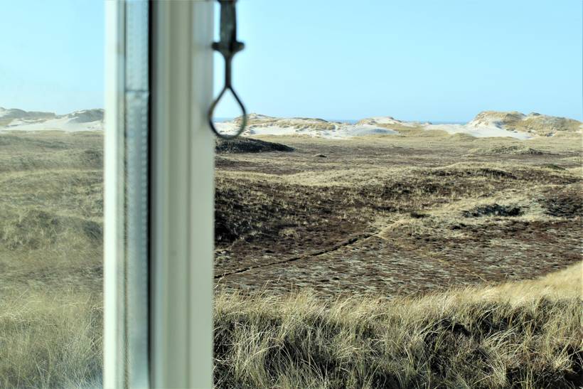 Foto von Ferienhaus FA51 in Skodbjerge - Bjerregård - Westjütland