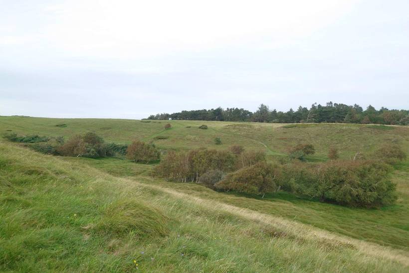 Foto von Ferienhaus FA59 in Tisvildeleje - Nordseeland