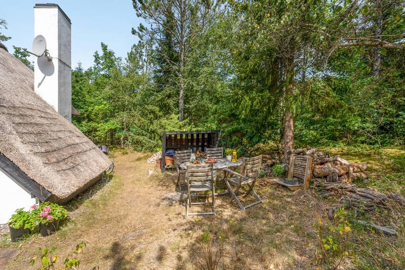 Foto von Ferienhaus FB20 in Rødhus - Blokhus - Nordjütland