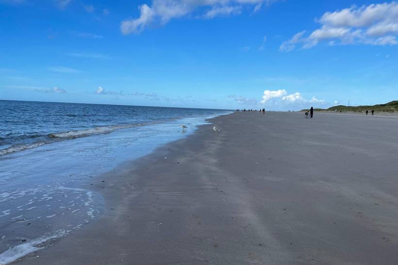 Foto von Ferienhaus FC58 in Blåvand - Westjütland