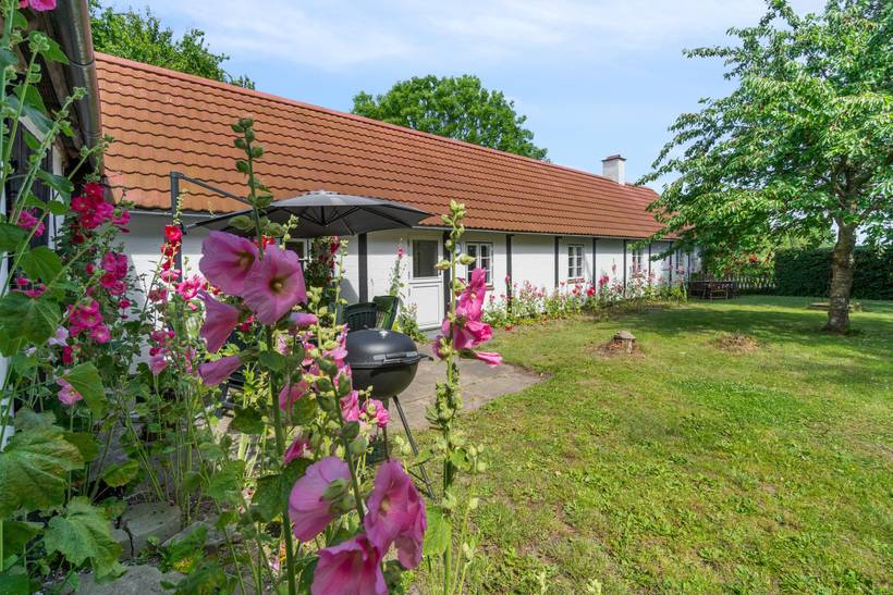 Foto von Ferienhaus FC69 auf Boderne - Bornholm
