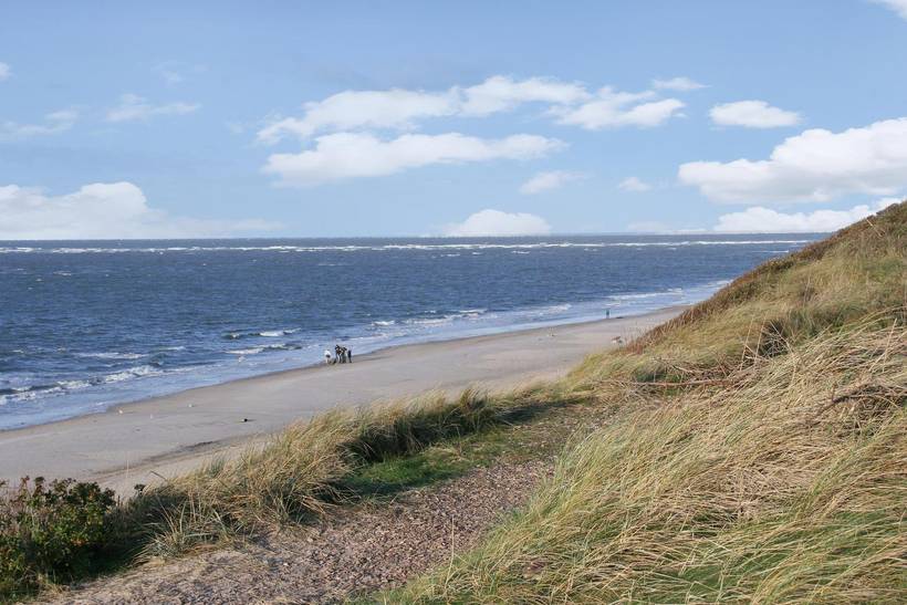 Foto von Ferienhaus FD12 in Blåvand - Westjütland