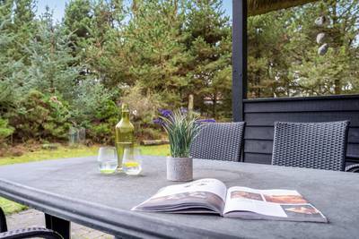Vorschaubild von Ferienhaus FD37 in Blåvand - Westjütland