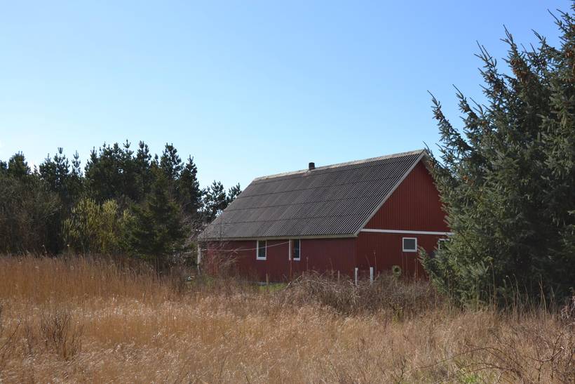 Foto von Ferienhaus FD39 in Toftum - Rømø