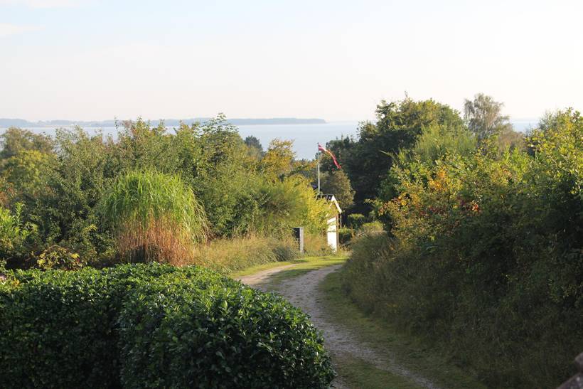 Foto von Ferienhaus FD54 in Ebeltoft - Ostjütland