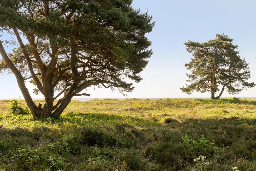 Foto von Ferienhaus FE85 in Rørvig - Westseeland