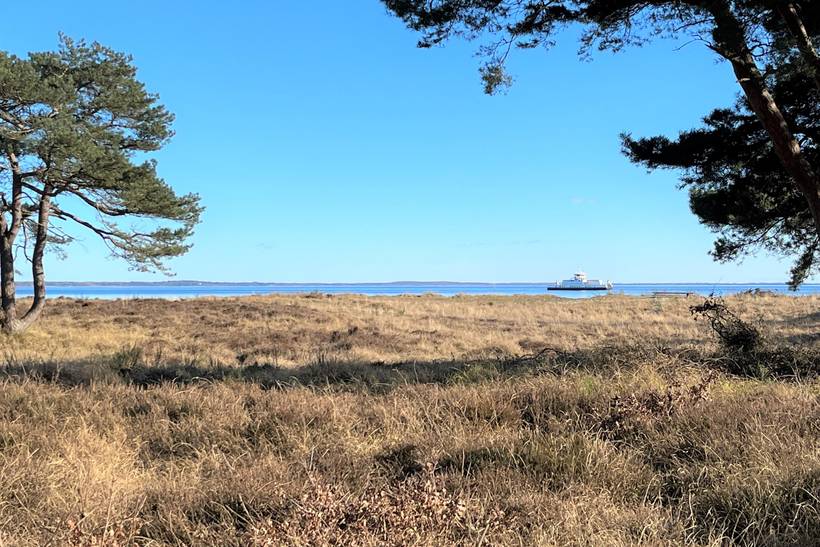 Foto von Ferienhaus FE85 in Rørvig - Westseeland